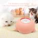 Puppy Milk Feeder with 3/4 Nipples - Self-Feeding Nursing Station for Multiple Puppies & Kittens - 200ML Pink - Buy Online on GoSupps.com