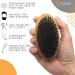 Kobe Palm Men's Military Style Boar Bristle Beard Brush - Hand Sized for Beard Care with Beard Oils (Beech) - Buy Online on GoSupps.com