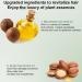 Travel Size Dry Hair Oil | 70ml Fast-Acting Dry Hair Care Oils Hair Care Oils for Home Traveling Vacation Outing Business Trips Hair Salon Zonto - Buy Online on GoSupps.com