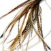 One Fine Day Feathers Real Feather Hair Extensions 5 Feathers