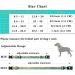 Heele Dog Collar for Puppies & Dogs | Adjustable Patterned Collars | Comfort & Durability | Wilderness Design (34-53cm 2cm Width) - Buy Online on GoSupps.com