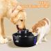 Large Dog Water Fountain | 1.5 Gallon Dispenser for Pets | BPA-Free | Super Quiet | 2 Replacement Filters | SIBAYS - Buy Online on GoSupps.com