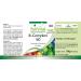 Fairvital | Vitamin B Complex - box of 3 months - with Vitamin B1 B2 B3 B6 B12 folic acid choline inositol and Biotin - VEGAN - Highly dosed - 90 capsules - Buy Online on GoSupps.com