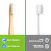 Eco-Friendly Bamboo Toothbrushes for Adults & Teens | 15 000 Ultra Soft Bristles for Gentle Oral Care - Buy Online on GoSupps.com