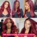Xeparlo 99J Burgundy Lace Front Human Hair Wig 20 Inch | Pre Plucked 13x4 Straight Wine Red 99J Wig for Women | 150% Density with Baby Hair | Colored 99J Lace Front - Buy Online on GoSupps.com