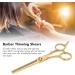 Stainless Steel Hair Cutting Scissors Professional Home Hair Salon Barber Thinning Shears for Kid Adult - Buy Online on GoSupps.com