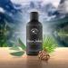 BERGBAD ORGANIC Sauna Infusion - Pine & Eucalyptus 100ml | Natural Essential Oils for an Invigorating Sauna Experience - Buy Online on GoSupps.com