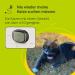 Kippy GPS Tracker Collar Evo for Dogs & Cats - Waterproof Health & Activity Tracker with Real-Time Location & LED - Rose - Buy Online on GoSupps.com