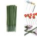100 pcs Plastic Floral Stem 6.69 inch/17cm  Artificial Flower Rod Flower Stem Wire Making Accessories  DIY Crafts Bouquet Stem Flower Arrangements Decor Supplies (Green - 17 cm)