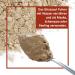 Puremetics Zero Waste Ghassoul Powder 400g | Natural Moroccan Clay for Eco-Friendly Washing - Buy Online on GoSupps.com