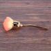 BLASHRD 3X Nail Dust Brush Brush Nail Art Cleaning Brush Blush Powder Brush(Gold) - Buy Online on GoSupps.com