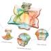 POPETPOP 1pc Nail Art Crystal Cup Nail Care Tools Nail Brush Dip Cup Nail Art Dappen Dish Nail Dappen Dish with Lid Powder Dappen Dish Bowl Nail Art Equipment Nail Cup Acrylic 9.1x9cm Assorted Color - Buy Online on GoSupps.com