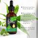 Huile de ricin noire jama caine biologique pour la croissance des cheveux nourrit les cils et les sourcils soins du cuir chevelu de la peau et des ongles 60ml (2PCS) - Buy Online on GoSupps.com