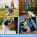 Vivifying 1000ml Foldable Dog Bowl - 2PC Silicone Travel Feeding Bowls for Dogs & Cats (Red+Blue) - Perfect for Pets on the Go - Buy Online on GoSupps.com