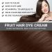 Black Brown Fruit Hair Wax Halloween Hair Coloring Cream Easy to Use Hair Root Dying Instant Coloring Hair Cream with Comb Fruit Essence Coloring Comb Natural Plant Fruit Hair Dye Cream - Buy Online on GoSupps.com
