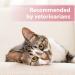Felisept Eye Care Pads for Cats - Aloe Vera Extract, Tear Stain Remover, 100 Pads - Buy Online on GoSupps.com