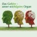 Buy Ginkgovital Heumann 120 mg - Ginkgo Biloba for Memory & Concentration - 60 Film-Coated Tablets Strengthen Your Mind! - Buy Online on GoSupps.com