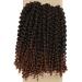 Lady Miranda Afro Kinky Curly Braiding Hair Extensions 10 Inch 3X Braid Synthetic Hair- Black&Brown 1B/30 - Buy Online on GoSupps.com
