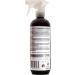 EcoSteel Stainless Steel Cleaner | Premium Shine & Protection for All Surfaces | Shop Eco-Friendly Solutions - Buy Online on GoSupps.com