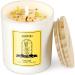 AOOVOO Candles Gifts for Women - Scented Candles Natural Soy Wax Candles for Home Scented Perfect for Christmas Birthday Mother's Day Vanilla Candles