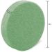 FloraCraft FloraFM Disc 1.25 x 5.8 Green - Pack of 6 Styrofoam Discs - Buy Online on GoSupps.com