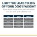 Luffwear Hundred Backpack for Large Dogs - Comfortable Saddlebag for Day Hikes | Front Range Day Pack in Aurora Teal Size L/XL - Buy Online on GoSupps.com