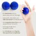 2x DBT Skills Hedgehog Ball - Magnetic High Stress Acupressure Ball for Stress Relief Massage & Enhanced Mobility - Blue Matt 47mm - Buy Online on GoSupps.com