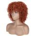 Porsmeer Curly Afro Power Copper Red Bob Wig - 14 Inch Shoulder Length Kinky Curly Volume for Black Women - Buy Online on GoSupps.com