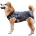 HEYWEAN Dog Surgical Recovery Suit Keep Dog from Licking E-Collar Alternative After Surgery Wear Protect Abdominal Wound from Grooming and Scratching Dog Surgical Post-Operative Bodysuit Medium Dark Blue - Buy Online on GoSupps.com