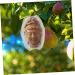 VINTORKY Fruits Forming Mould Vegetable Growing Mold Fruit Ginseng Buddha Shaped Growth Mold Melon to Play with Multipurpose - Buy Online on GoSupps.com