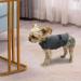 cattamao Comfort Dog Anxiety Relief Coat Dog Anxiety Calming Vest Wrap Thunder Shirts Jacket for XS Small Medium Large XL Dogs (XS Gray) XS Gray - Buy Online on GoSupps.com
