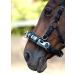 Heinick-Reitsport Professional Leather Cavesson - Black Stainless Steel Bit Strap Nosepiece for Thoroughbreds | International Shipping Available - Buy Online on GoSupps.com