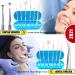Professional Dental Hygiene Kit - Stainless Steel Teeth Cleaning Tools for Plaque and Tartar Removal, Oral Care Set with Scraper, Scaler, Pick - Includes Case - Buy Online on GoSupps.com