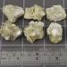 1Pc Natural Golden Yellow Stone Irregular Yellow Crystal Cluster Ore Specimen Collections ERTEYIN - Buy Online on GoSupps.com