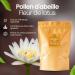 Propol-mel Pollen de Fleur de Lotus 100% Naturel. 500 grammes Issu d Abeilles Sans R sidus. Source de Prot ines d Acides Amin s de Lipides de Vitamines et de Min raux. - Buy Online on GoSupps.com