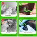 Emwel Tick Remover Tools for Dogs 4Pcs Stainless Steel Painlessly Tick Professional Tick for Dogs Cats Horses and Humans Pets Green - Buy Online on GoSupps.com