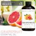 Brooklyn Botany Grapefruit & Lemon Eucalyptus Essential Oils 4 Fl Oz (Pack of 2) 100% Pure & Natural Crisp & Bright Aromatherapy Blend - Buy Online on GoSupps.com