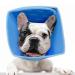 Roll ruff for dog leak protection Small dog protective collar tapes adjustable recycling neck band pet elisabethan recreational neck bands for small medium/large dogs (blue m) m blue
