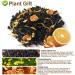 Plant Gift Lady Gray Black Tea Ceylon Black Tea Peel Orange Chrysanthemum Fruit Hot and Iced Tea Natural Flavored Loose Leaf 50g/1.76oz - Buy Online on GoSupps.com