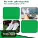 Buy Green Feet T-Shape Orthopedic Midfoot Pelotte Insoles - Unisex Adult Double Pack (Numeric 38/40 EU) - White Leather Comfort & Support for Spreading Feet - Buy Online on GoSupps.com