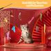 Nobleza Cat Feather Toys - Interactive Cat Toy with Retractable Wands and Bell - 12 PCS Refills Included - Buy Online on GoSupps.com