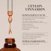 Ceylon Cinnamon Alcohol-Free Natural Tincture Extract Immune System Booster Liquid Drops Made from 100% Ceylon Cinnamon (Cinnamomum verum) Dried Bark (2 fl oz) 2 Fl Oz (Pack of 1) - Buy Online on GoSupps.com