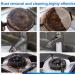Foam Rust Remover Multi-Purpose Foam Cleaner Rust Remover Kitchen General Cleaning Powder Rust Removal and Polishinglasting Shiny 1 PCS - Buy Online on GoSupps.com