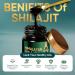 Shilajit Pure Shilajit Resin 50g Rich in 85+ Trace Minerals & Fulvic Acid Supports Energy and Vitality Brown-black - Buy Online on GoSupps.com