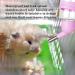 2 PCS Pet Water Bottle Automatic Hamster Water Bottle Rabbit Water Bottles 250ML/8.45OZ Non Drip Hanging Guinea Pig Water Bottle for Rabbit Guinea Pig Gerbil Chinchillas(Blue Pink) - Buy Online on GoSupps.com