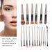 Premium 18-Piece Makeup Brush Set - Soft Powder Cosmetic Applicators for Eyeshadow Blush & Eyelashes | International Shipping Available - Buy Online on GoSupps.com