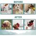 Shop Wllhyf Soft Nylon Dog Muzzle | Breathable & Comfortable Biting Chew Prevention | Adjustable Muzzle for Small Dogs (Red M) - Buy Online on GoSupps.com