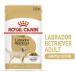 Royal Canin Labrador Retriever Adult in Gravy Wet Dog Food 140g (Pack of 10) - Buy Online on GoSupps.com
