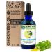 Earth Elements Organics Chickweed Oil Herbal Remedy Infused in Sunflower Seed Oil Organic Skincare for All Skin Types - 1 fl oz