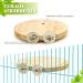 Reyshin Bird Seating Board Set - 4 Pieces Bird Playground Accessories with 5 Rat Balls for Budgies Canaries and Lovebirds - Ideal Bird Cage Toys - Buy Online on GoSupps.com